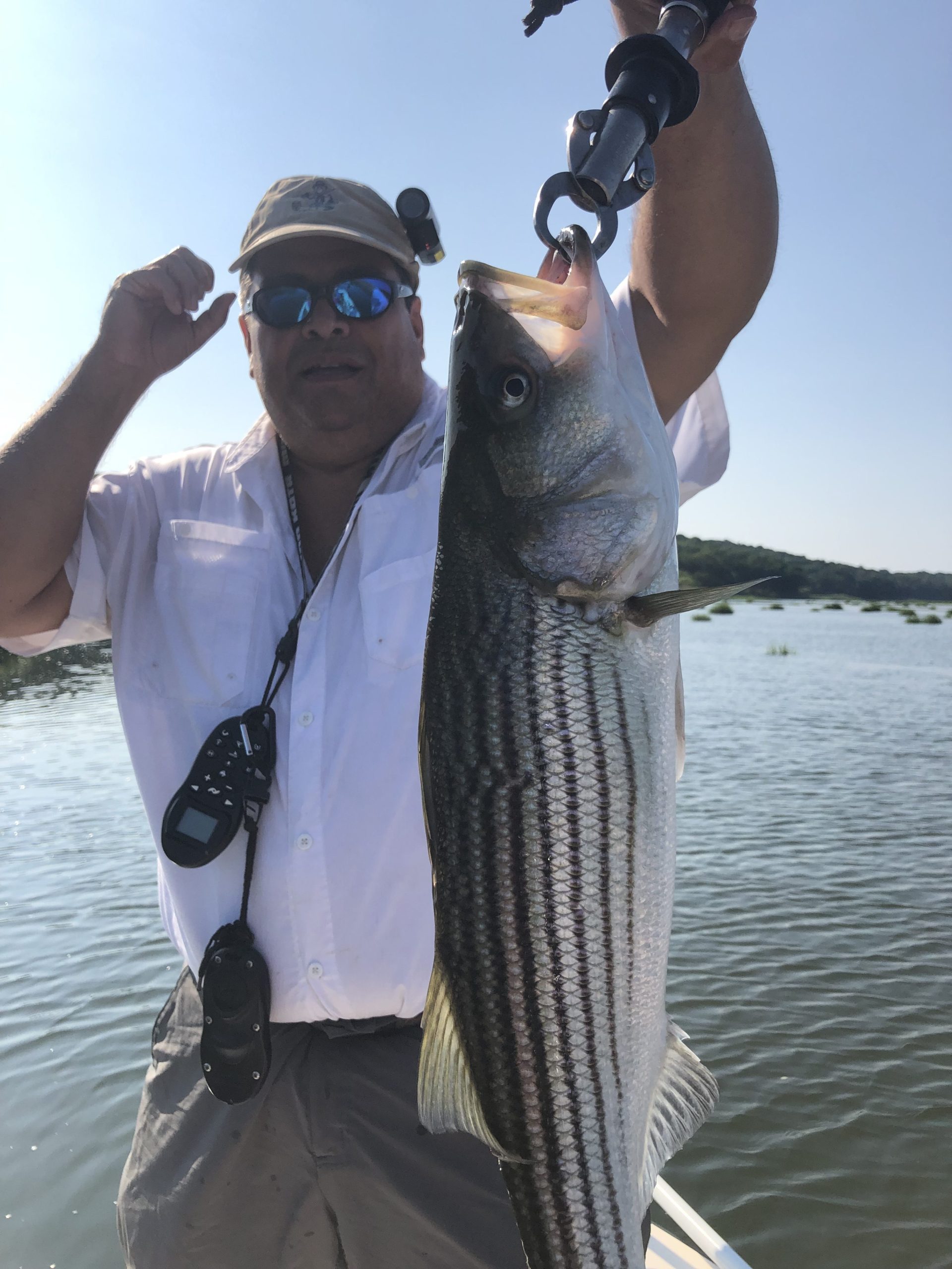 Fisherman Holding a 34" Striped Bass Caught in a Tidal River on Long Islands North Shore 