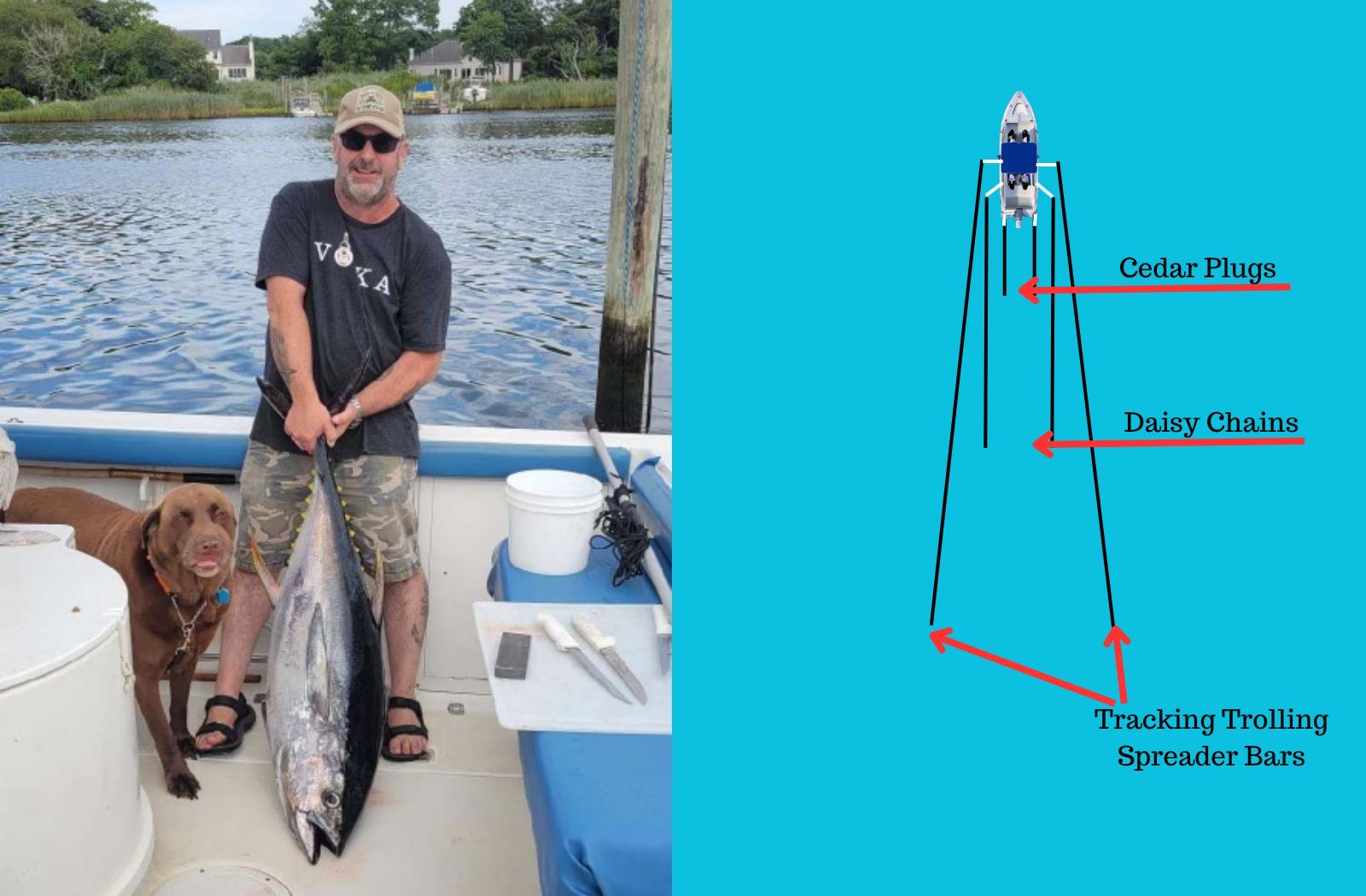 Man Holding a 100lb Tuna with his Dog and a Schematic of Effective Trolling For Tuna Without Outriggers Diagram