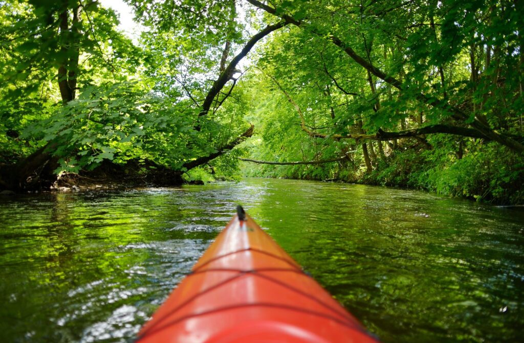 Kayak Fishiing in the Backwaters creeks and Mangrove of the Everglades