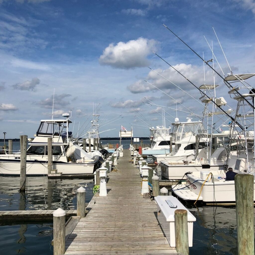 Sport fishing boats docked at a marina on Long Island, New York.