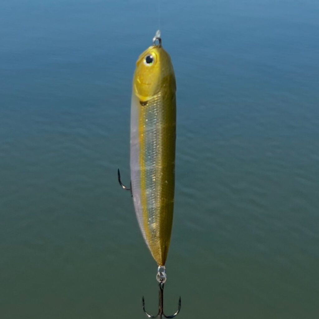 Close-up of the topwater fishing lure used to catch a bluefish on Long Island.